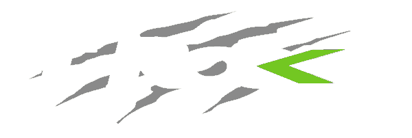 logo_t-rocks_triride-g